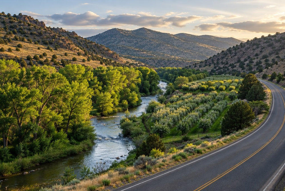 A green river valley of cottonwoods and orchards between dry hills in New Mexico